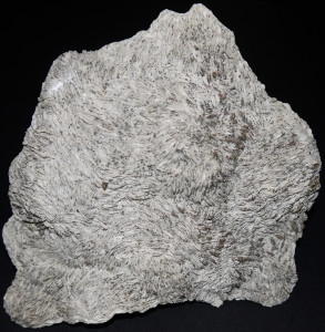 Barite with Pyrite